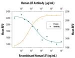 LIF Antibody in Neutralization (Neu)
