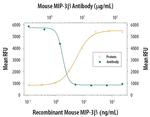 MIP-3 beta Antibody in Neutralization (Neu)