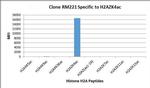 H2A.ZK4ac Antibody in Luminex (LUM)
