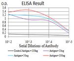Gemin 3 Antibody in ELISA (ELISA)