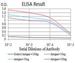 DNMT3L Antibody in ELISA (ELISA)