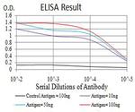 mGluR7 Antibody in ELISA (ELISA)