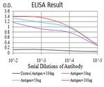 HOXA9 Antibody in ELISA (ELISA)
