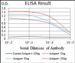 TFF2 Antibody in ELISA (ELISA)
