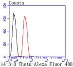 14-3-3 theta Antibody in Flow Cytometry (Flow)