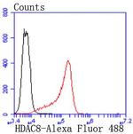 HDAC8 Antibody in Flow Cytometry (Flow)