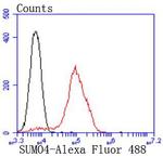 SUMO4 Antibody in Flow Cytometry (Flow)