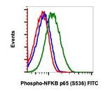 Phospho-NFKB p65 (Ser536) Antibody in Flow Cytometry (Flow)