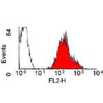 HLA-A2 Antibody in Flow Cytometry (Flow)