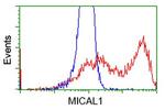 MICAL1 Antibody in Flow Cytometry (Flow)