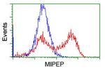 MIPEP Antibody in Flow Cytometry (Flow)