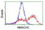 MMACHC Antibody in Flow Cytometry (Flow)