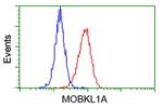 MOBKL1A Antibody in Flow Cytometry (Flow)