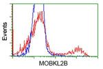 MOBKL2B Antibody in Flow Cytometry (Flow)