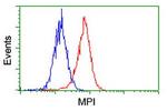 MPI Antibody in Flow Cytometry (Flow)
