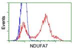 NDUFA7 Antibody in Flow Cytometry (Flow)