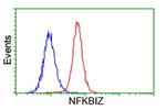 NFKBIZ Antibody in Flow Cytometry (Flow)