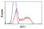 NIT1 Antibody in Flow Cytometry (Flow)