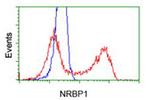 NRBP1 Antibody in Flow Cytometry (Flow)