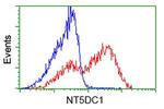 NT5DC1 Antibody in Flow Cytometry (Flow)