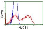 NUCB1 Antibody in Flow Cytometry (Flow)