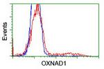 OXNAD1 Antibody in Flow Cytometry (Flow)