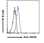 MLH3 Antibody in Flow Cytometry (Flow)