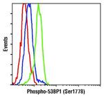 Phospho-53BP1 (Ser1778) Antibody in Flow Cytometry (Flow)
