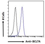 BCL7A Antibody in Flow Cytometry (Flow)
