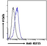 KLF15 Antibody in Flow Cytometry (Flow)