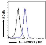 ILF1 Antibody in Flow Cytometry (Flow)