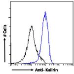 Kalirin Antibody in Flow Cytometry (Flow)