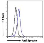 SPRY1 Antibody in Flow Cytometry (Flow)