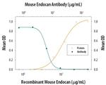 Endocan Antibody in Neutralization (Neu)