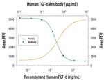 FGF6 Antibody in Neutralization (Neu)