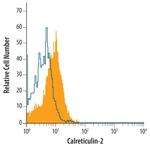 Calreticulin 3 Antibody in Flow Cytometry (Flow)