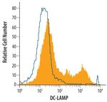 LAMP3 Antibody in Flow Cytometry (Flow)
