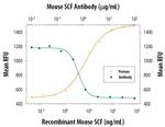 SCF Antibody in Neutralization (Neu)