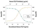 TSLP Receptor Antibody in Neutralization (Neu)