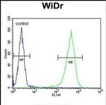 CCDC3 Antibody in Flow Cytometry (Flow)