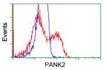 PANK2 Antibody in Flow Cytometry (Flow)