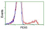 PEX5 Antibody in Flow Cytometry (Flow)