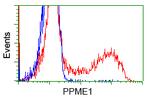 PPME1 Antibody in Flow Cytometry (Flow)