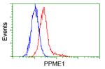 PPME1 Antibody in Flow Cytometry (Flow)