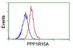 PPP1R15A Antibody in Flow Cytometry (Flow)