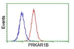 PRKAR1B Antibody in Flow Cytometry (Flow)