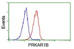PRKAR1B Antibody in Flow Cytometry (Flow)