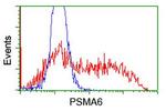 PSMA6 Antibody in Flow Cytometry (Flow)