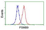 PSMB9 Antibody in Flow Cytometry (Flow)