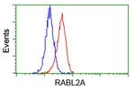 RABL2A Antibody in Flow Cytometry (Flow)